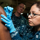 Illustration for article titled The U.S. is stockpiling smallpox drugs in case of a biological attack